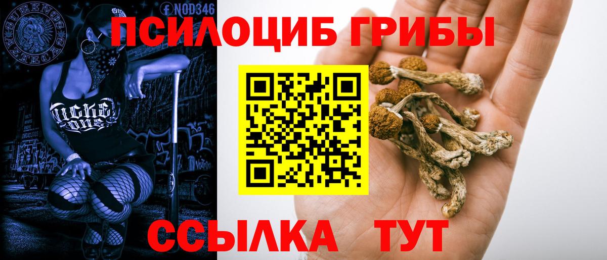 Нягань  Псилоцибиновые грибы прущие грибы  Вход с VPN 